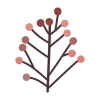 Branch with leaves, berries, isolated, illustration, vector