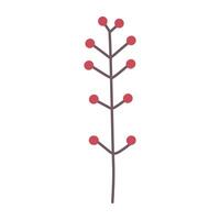 Branch with leaves and berries, isolated, illustration, design vector