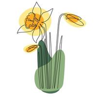 One line continuous yellow daffodils.Continuous line drawing of daffodils with yellow petals. Simple floral illustration. Minimal botanical design vector