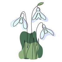 Continuous one line drawing hand drawn minimalist design of spring snowdrop. Illustration isolated on white background. Hand drawn flowers sketch. vector