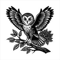 Barn Owl On Branch vector