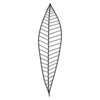 leaf silhouette symbol icon design. Simple hand-drawn drawing in black outline. vector