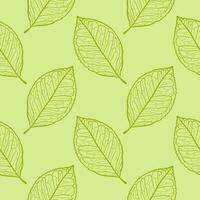 Floral organic background. Hand drawn leaf texture. vector