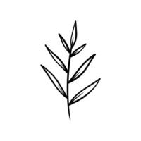Leaves on branches illustration. design isolated on white background. vector