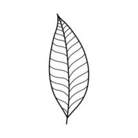 leaf silhouette symbol icon design. Isolated leaf illustration element. vector