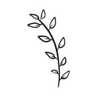leaf silhouette symbol. Simple hand-drawn drawing in black outline. vector