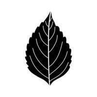 leaf in black isolated on white background. vector