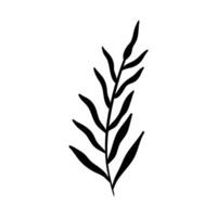 silhouette branches with leaf vector