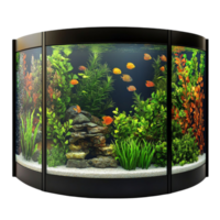 Magical Glowing Jellyfish Nightlight Aquarium Isolated Transparent Background png