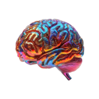 Human brain from different angles in iridescent transparent background png