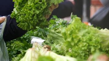 Fresh greens selection at local market in autumn video