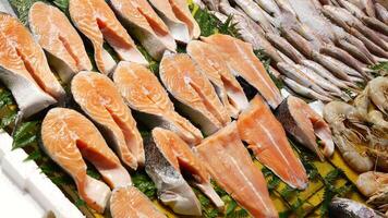 Fresh seafood display at local market in sunny afternoon video