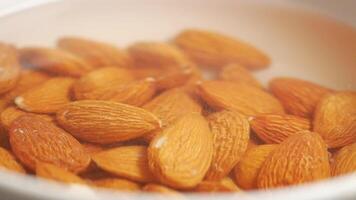 Preparing almonds by soaking them in warm water for better texture video