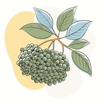 a drawing of a tree with leaves and berries vector