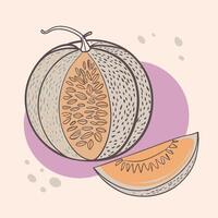 a melon with a slice and a half cut out vector