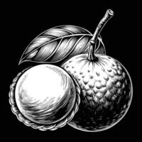 black and white drawing of a nut and nut shell vector