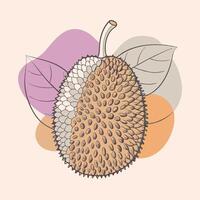 illustration of a durian fruit white background vector