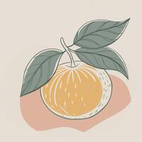 an orange with leaves and leaf on it vector