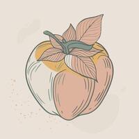 a drawing of an apple with leaves on it vector