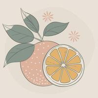 an orange and a leaf are shown in a hand drawn style vector