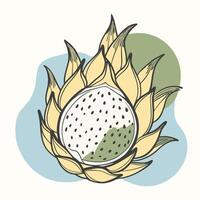 a drawing of a fruit with leaves and seeds vector