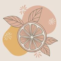 an illustration of a lemon with leaves and flowers vector