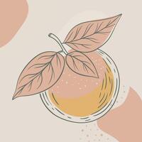 an orange with leaves and a bowl of orange juice vector