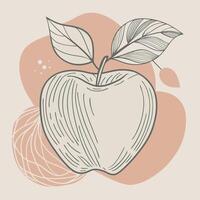 an apple with leaves and leaf on it vector