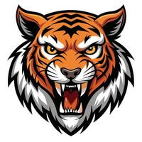 an angry tiger head, with open mouth vector
