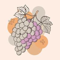 grapes on branch with leaves and leaves vector