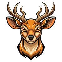 deer head with horns on it white background vector