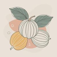 grapefruit fruit white background illustration vector