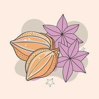 two pods of cardamom and flowers on a light pink background vector