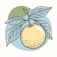 an illustration of lemon with leaves vector
