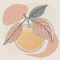 an orange with leaves and leaves on it vector