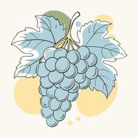 grapes on a branch with leaves and leaves white background vector
