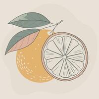 an orange and a half of a lemon are shown vector