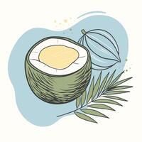 coconut with a slice and leaves on a white background vector