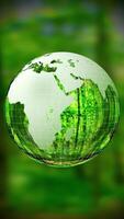 Rotating Glass and Wireframe Earth with Forest in Background video