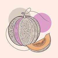 a melon and slice of it are shown vector