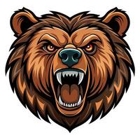 Angry grizzly bear head illustration, roaring with sharp teeth, intense eyes. vector
