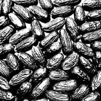 black and white image of a bunch of nuts vector