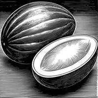 watermelon in a woodcut style illustration vector