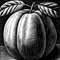an engraving of a peach on a black background vector