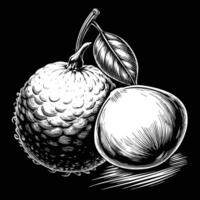 a drawing of a limes and an apple vector