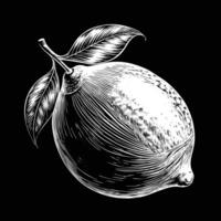 a lemon with leaves on a black background vector