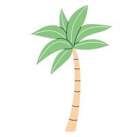 Palm tree in flat style isolated on white background. Summer clipart illustration. vector