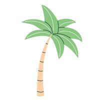 Palm tree in flat style isolated on white background. Summer clipart. vector