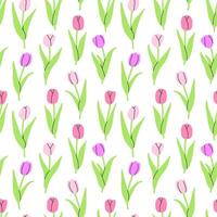 Seamless pattern with tulips on a white background. illustration background. Flat illustration vector