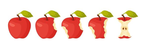 Red juicy apple eating steps icon set. Stages of biting ripe apple from whole to half and core, bite progression. Hand drawn flat style isolated. Bitten apple fresh garden fruit icon vector